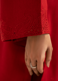 Red Embroidered Suit