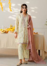 Printed Pastel Green Suit