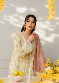 Printed Pastel Green Suit