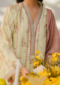 Printed Pastel Green Suit