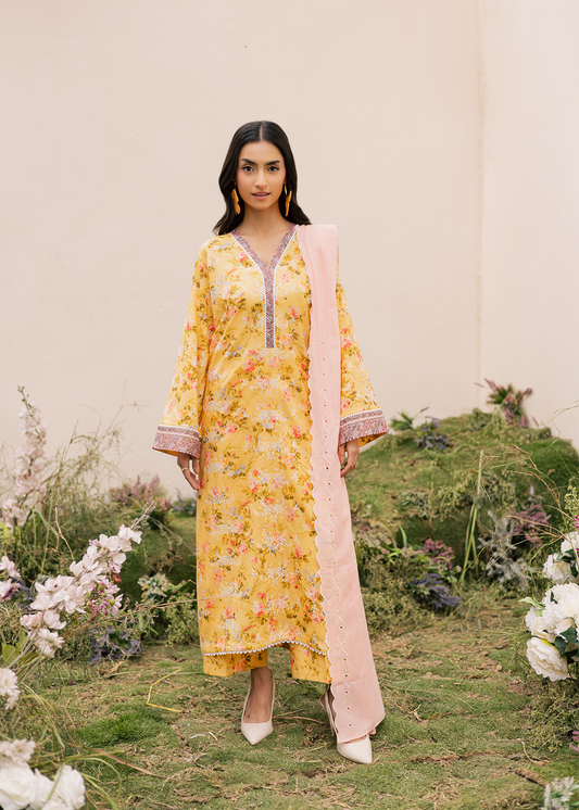 suit embroidered