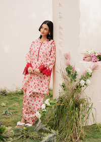 White Printed Embroidered Suit