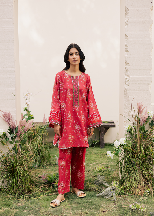 ladies dress