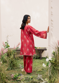 Red Printed Embroidered Suit