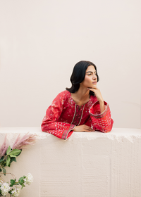 Red Printed Embroidered Suit