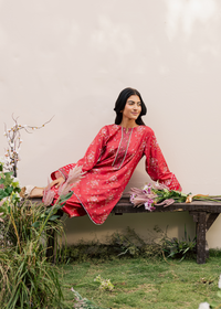 Red Printed Embroidered Suit