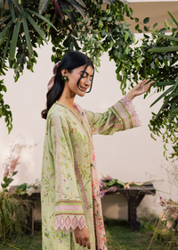 Sage Green Printed Embroidered Suit