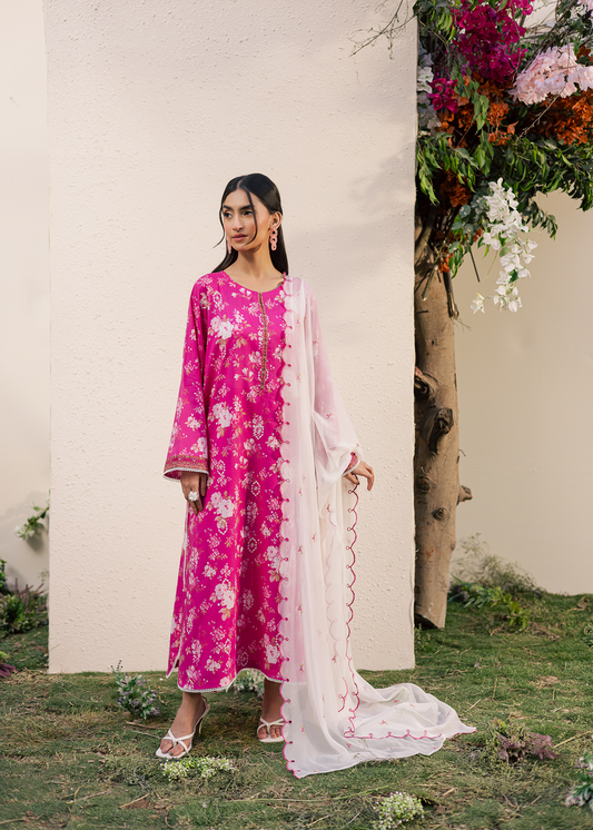 Fuchsia Printed Embroidered Suit