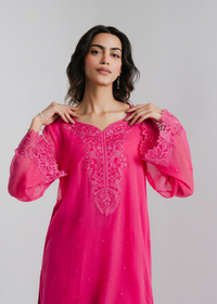 Chiffon Embroidered Suit