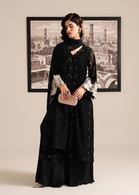 Black Emboridered Net Festive Pret