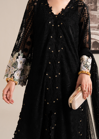 Black Emboridered Net Festive Pret