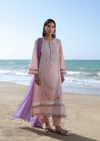 Pink Luxury Embroidered Suit