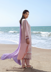 Pink Luxury Embroidered Suit