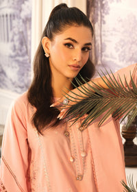 Pink Embroidered Suit