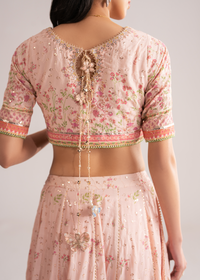 Anastasia Rose Festive Lehenga