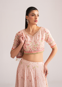 Anastasia Rose Festive Lehenga