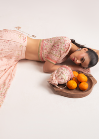Anastasia Rose Festive Lehenga