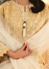Mustard Embroidered Suit