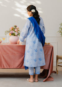 Printed Pastel Blue Suit