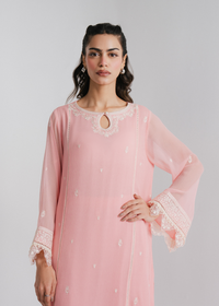 Chiffon Embroidered Suit