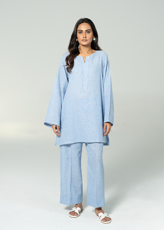 Blue Embroidered Co Ord