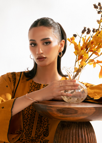 Mustard Embroidered Suit