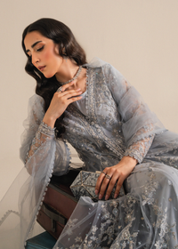 Powder Blue Net Festive Pret