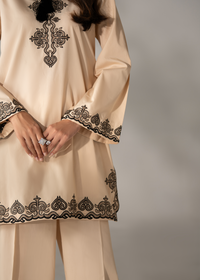 Tan Biege Embroidered Co-ord set