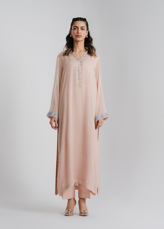 Chiffon Embroidered Suit