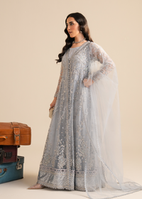 Powder Blue Net Festive Pret