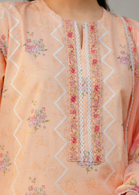 Printed Peach Suit