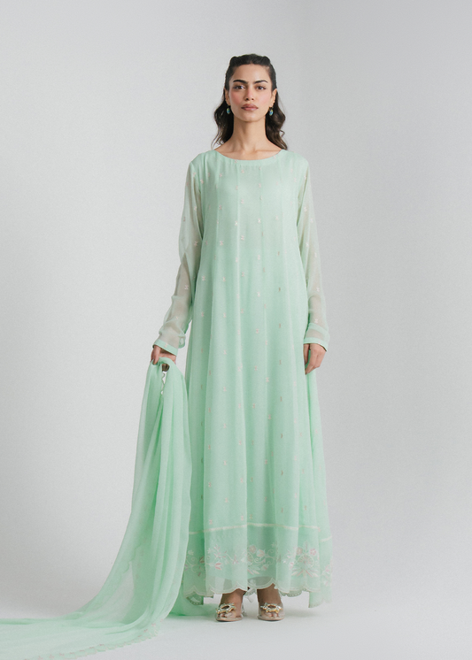 Chiffon Embroidered Kalidar