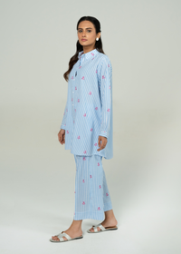 Blue Embroidered Co Ord