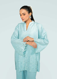 Sky Blue Embroidered Co-ord