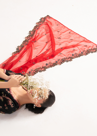 Ayla Black Festive Frock