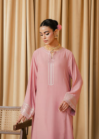 Light Pink Embroidered Suit