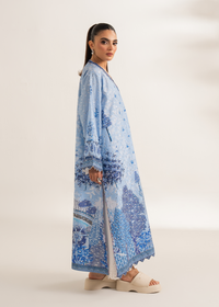 Blue Printed Embroidered Shirt