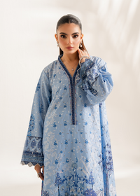 Blue Printed Embroidered Shirt