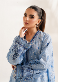 Blue Printed Embroidered Shirt