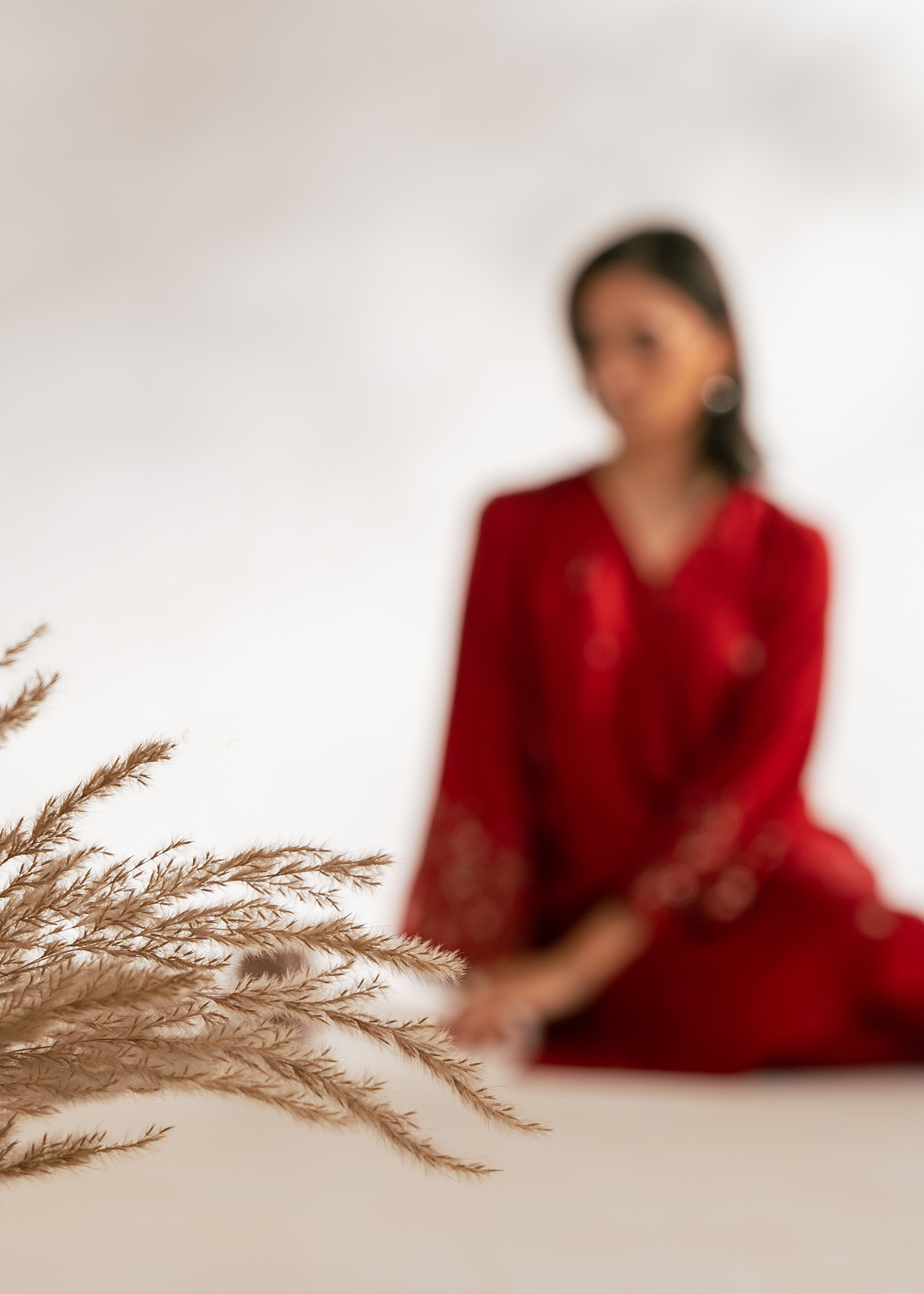 Red Embroidered Suit