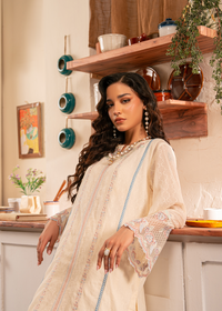 Off White Chikankari Shirt