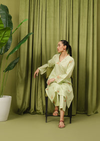 Pastel Green Printed Suit