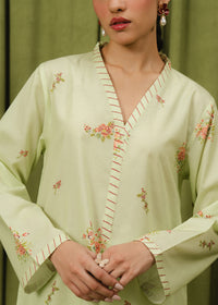 Pastel Green Printed Suit