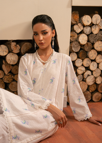 White Chikankari Shirt