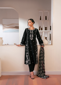 Black Embroidered Suit