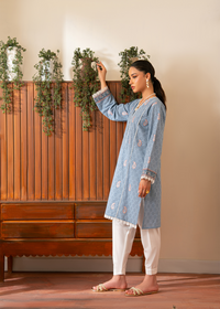 Grey Chikankari Shirt