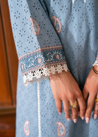 Grey Chikankari Shirt
