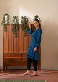 Blue Chikankari Shirt
