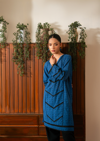 Blue Chikankari Shirt