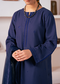 Navy Chikankari Suit